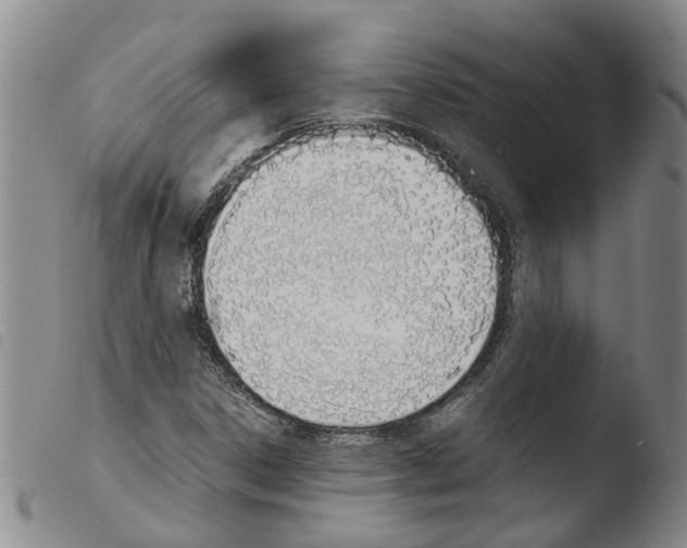 X0000103501306200810241115