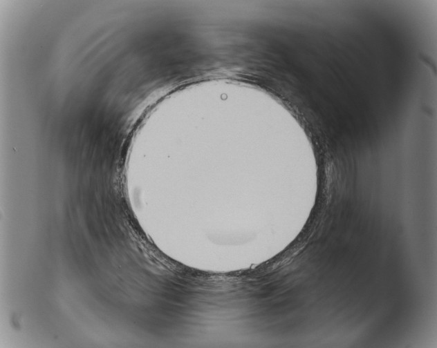 X0000103501308200810241115