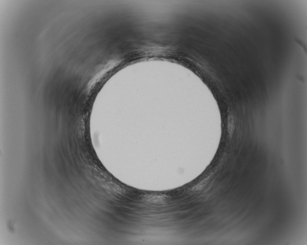 X0000103501309200810241115