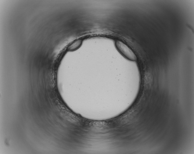 X0000103501310200810241115