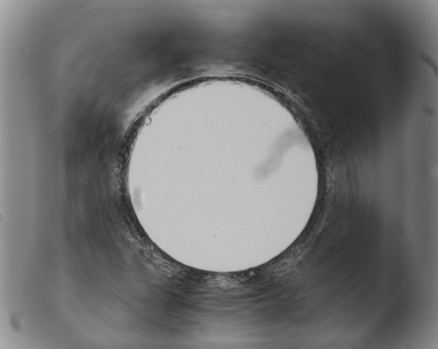 X0000103501311200810241115