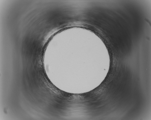 X0000103501312200810241115