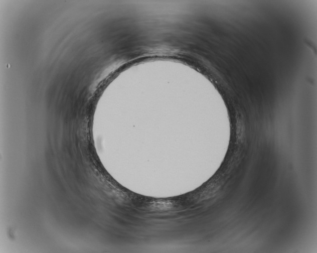 X0000103501315200810241115