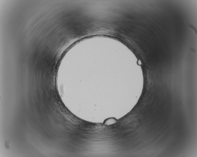 X0000103501316200810241115