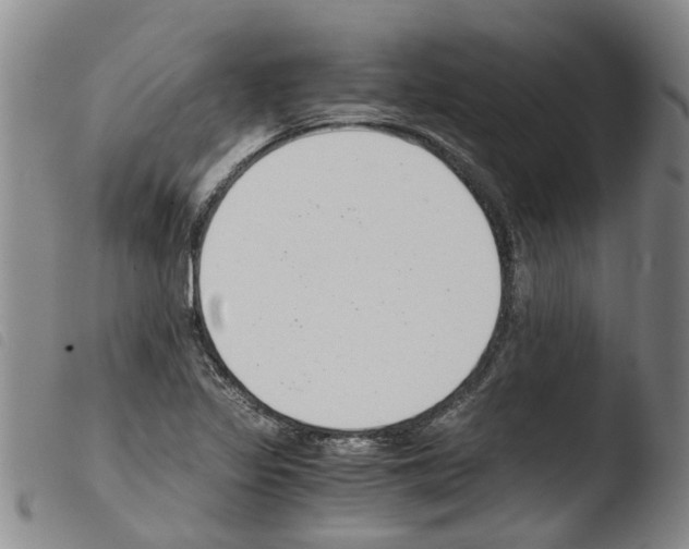 X0000103501317200810241115