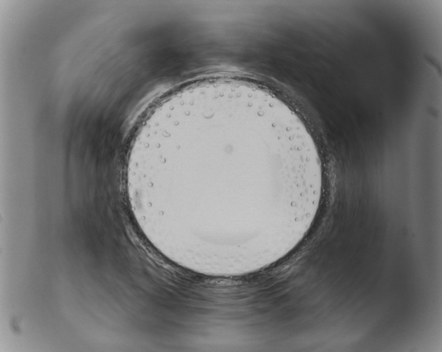 X0000103501318200810241115