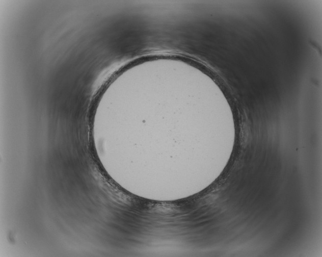 X0000103501319200810241115