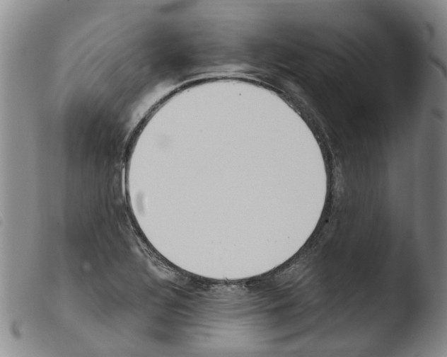 X0000103501320200810241115