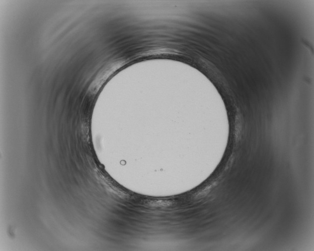 X0000103501321200810241116