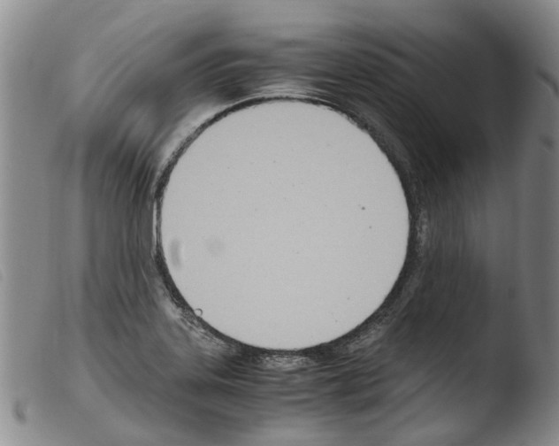 X0000103501323200810241116