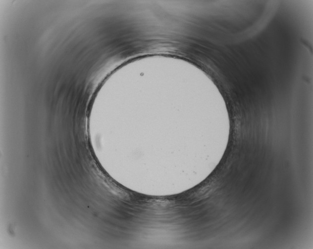 X0000103501324200810241116