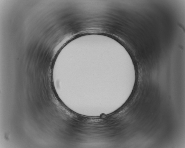 X0000103501325200810241116