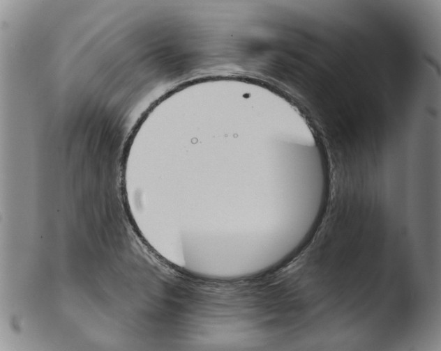 X0000103501326200810241116