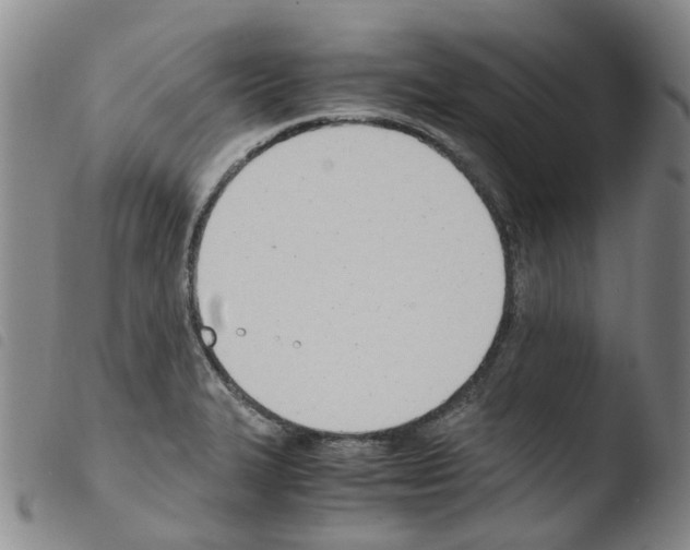 X0000103501327200810241116