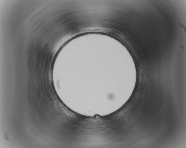 X0000103501328200810241116