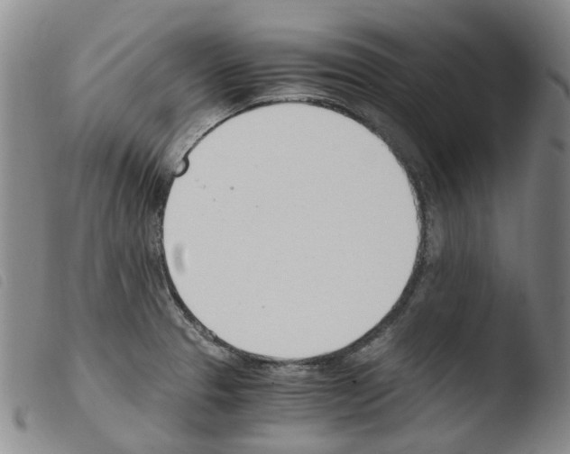 X0000103501329200810241116