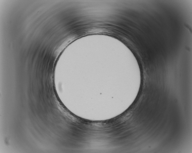 X0000103501330200810241116