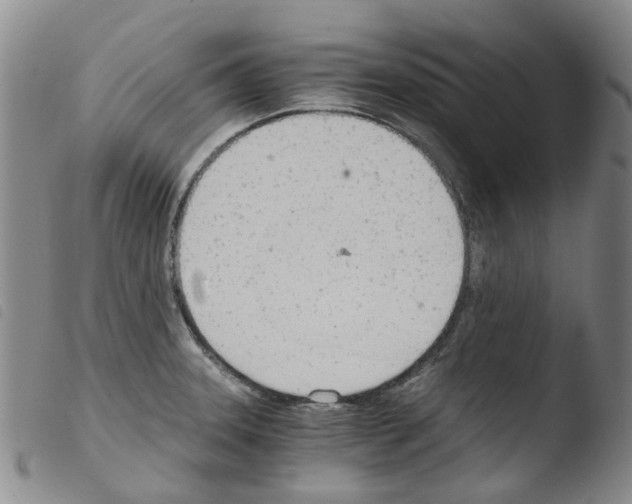 X0000103501331200810241116