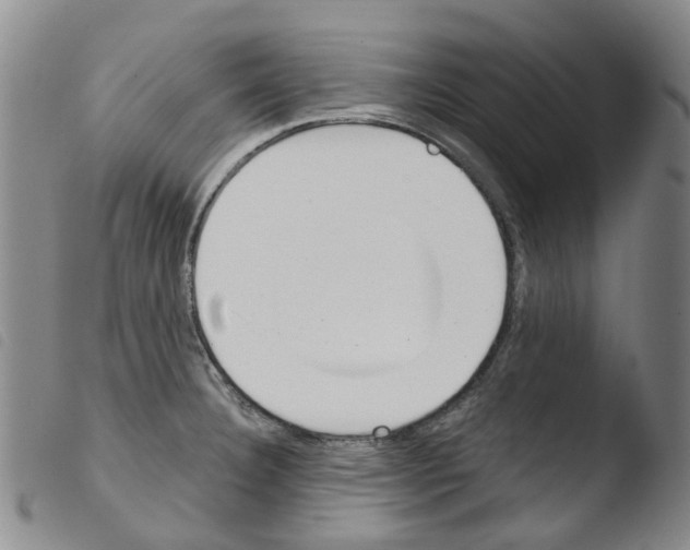 X0000103501332200810241116