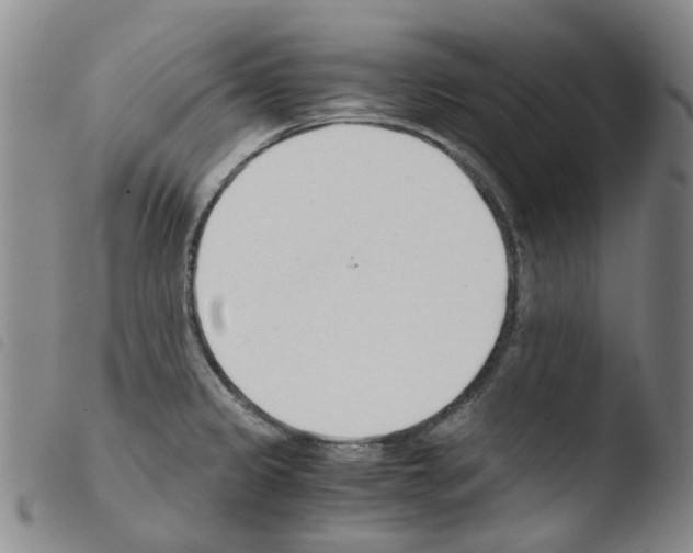 X0000103501333200810241116