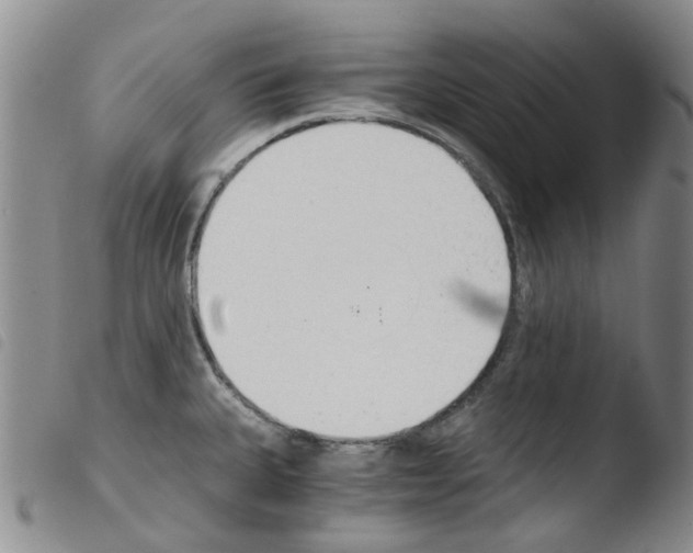 X0000103501335200810241116