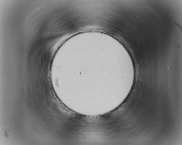 X0000103501336200810241116