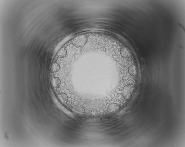 X0000103501338200810241116