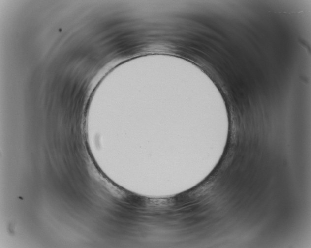 X0000103501339200810241116