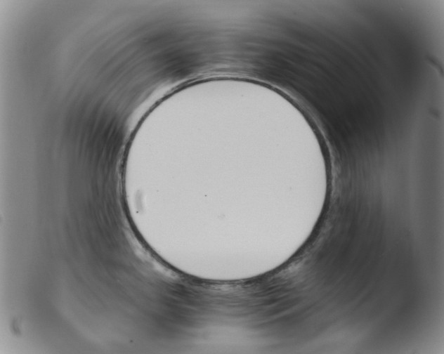 X0000103501341200810241116