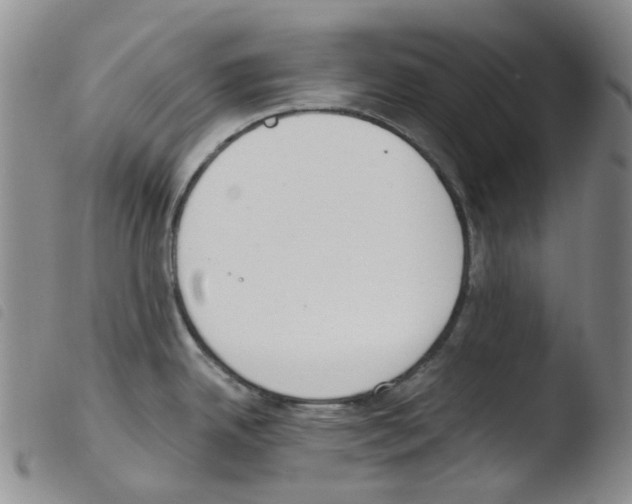 X0000103501342200810241116