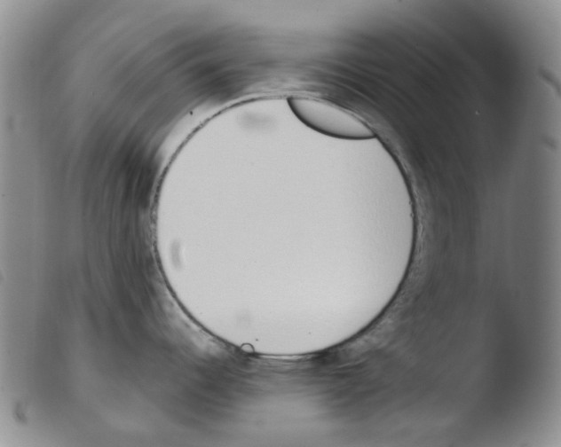 X0000103501344200810241116