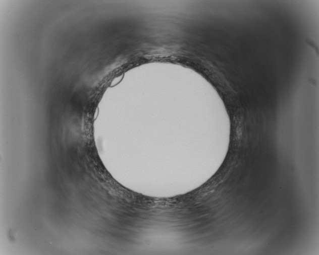 X0000103501350200810241115