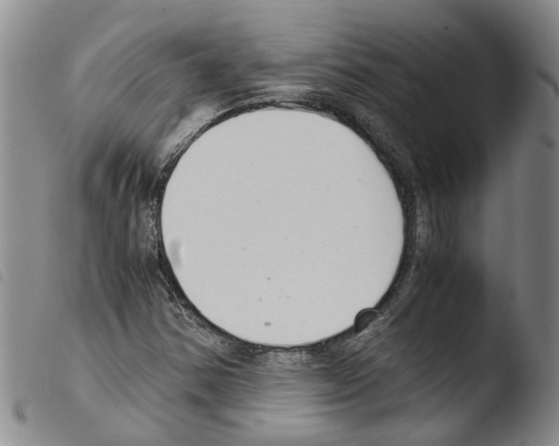 X0000103501354200810241115