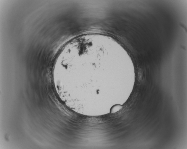 X0000103501356200810241115