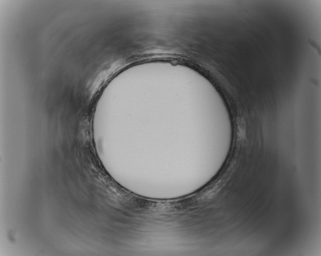 X0000103501357200810241115