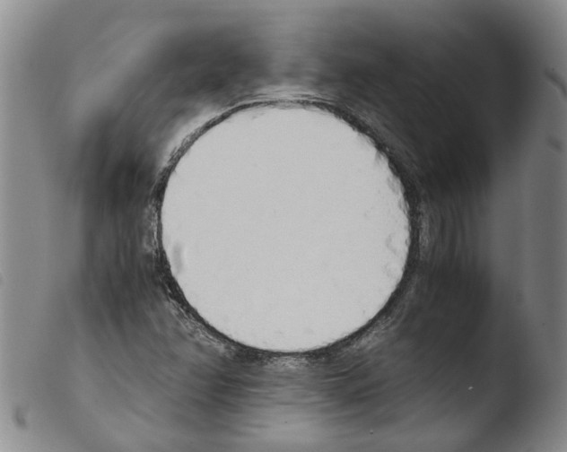 X0000103501358200810241115