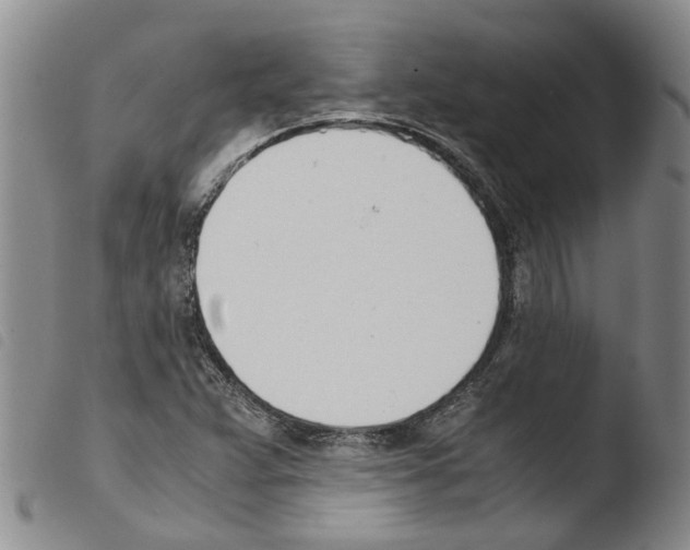 X0000103501359200810241115