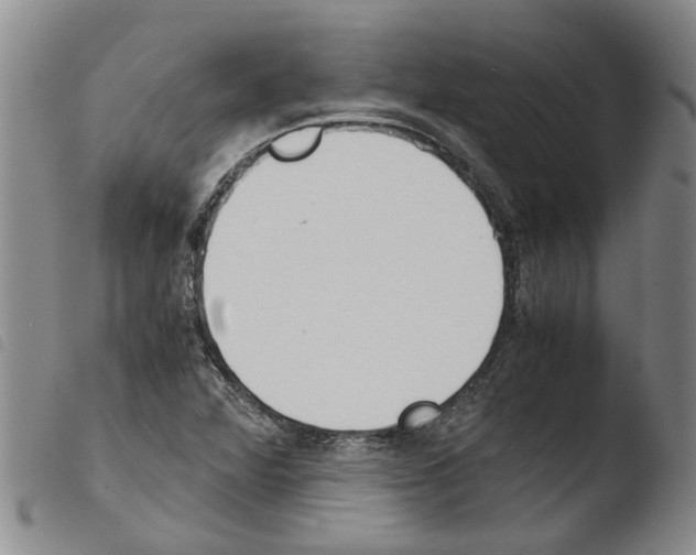 X0000103501360200810241115