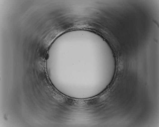 X0000103501361200810241115