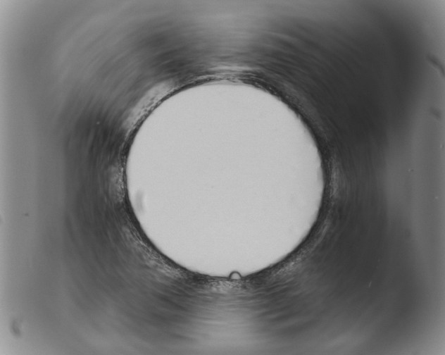 X0000103501362200810241115