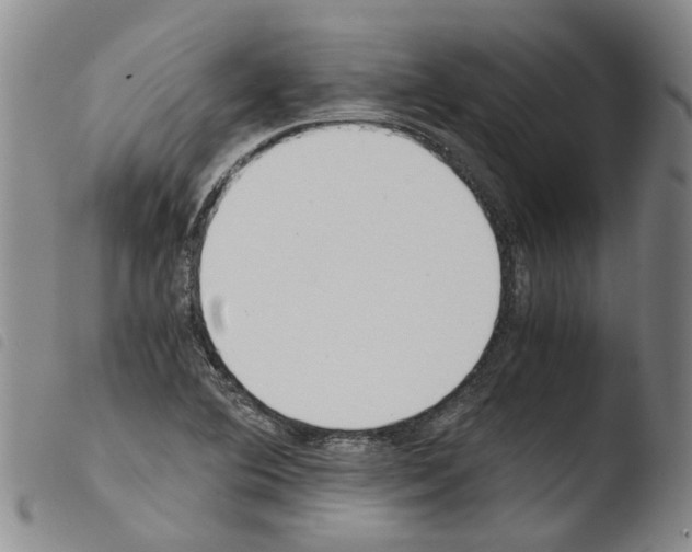 X0000103501364200810241115