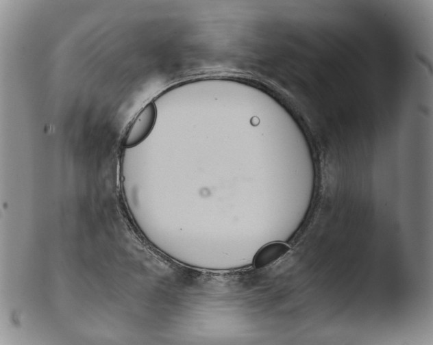 X0000103501365200810241115