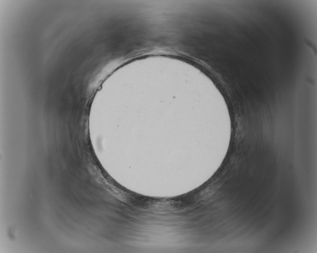 X0000103501367200810241115