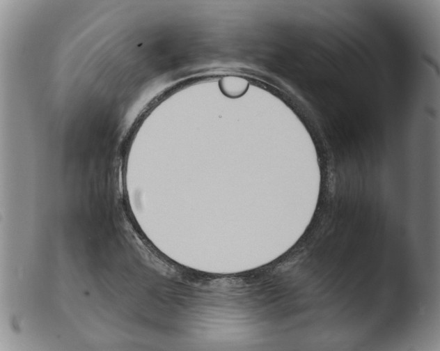 X0000103501368200810241115