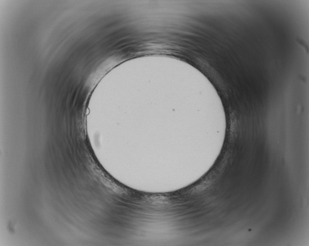 X0000103501370200810241115