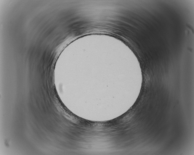 X0000103501371200810241115