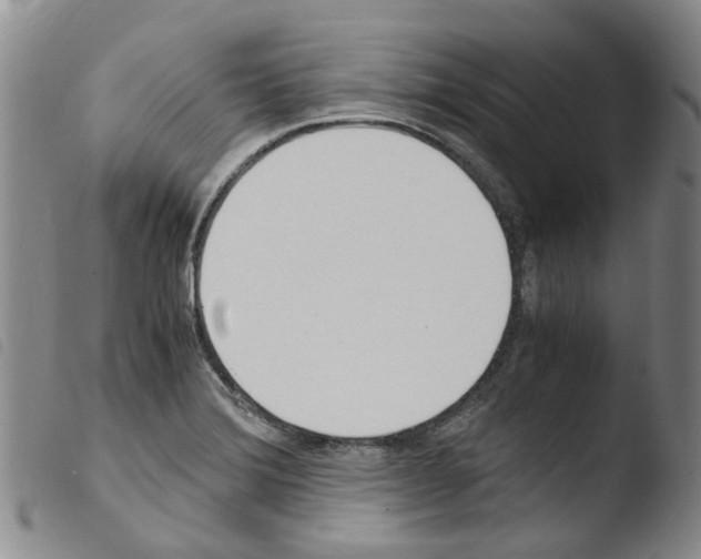 X0000103501372200810241115