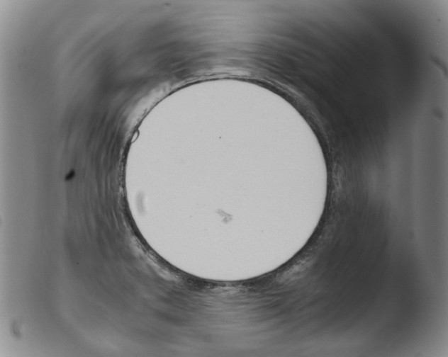 X0000103501373200810241115