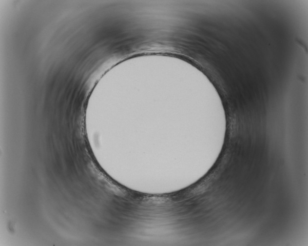 X0000103501374200810241115