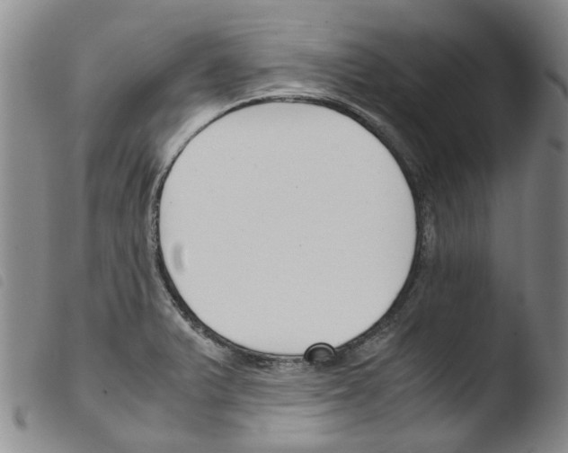 X0000103501375200810241115